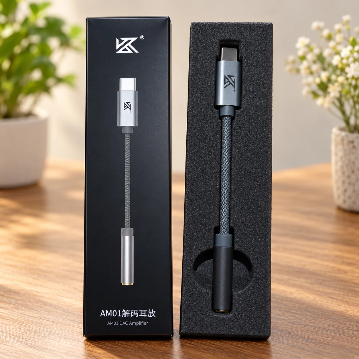 Dac amplificador KZ AM01 · imagen 3