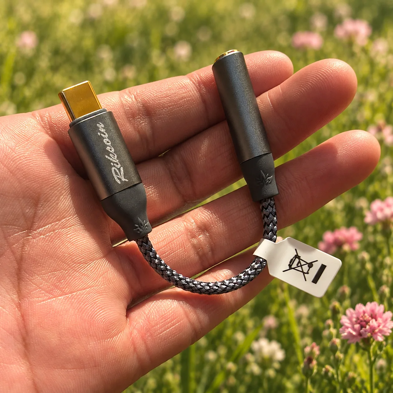 Adaptador auxiliar a tipo C - Riksoin · imagen 3