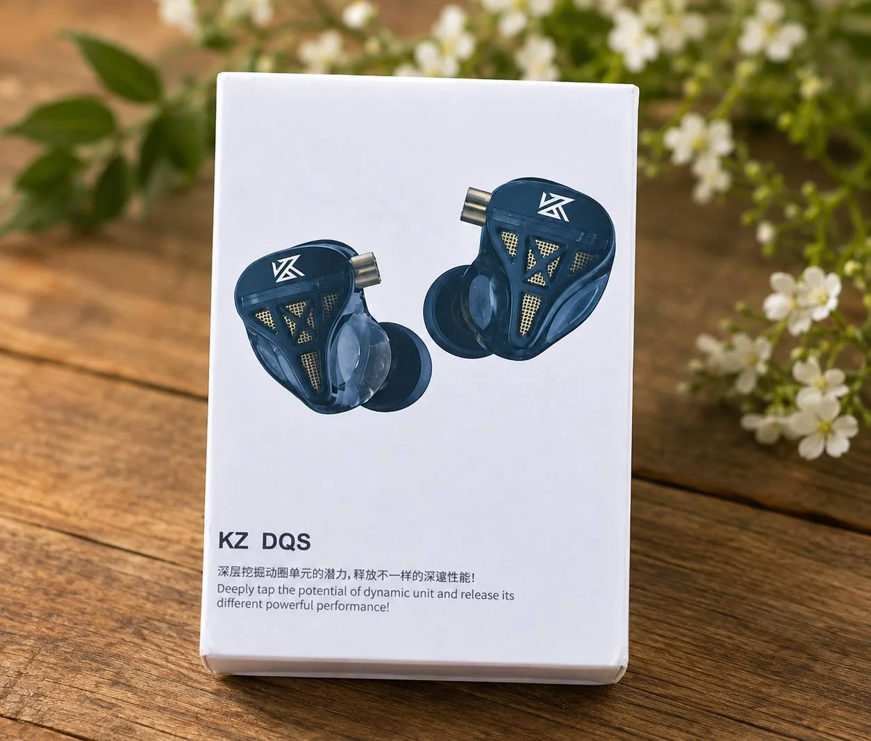 KZ DQS · imagen 4